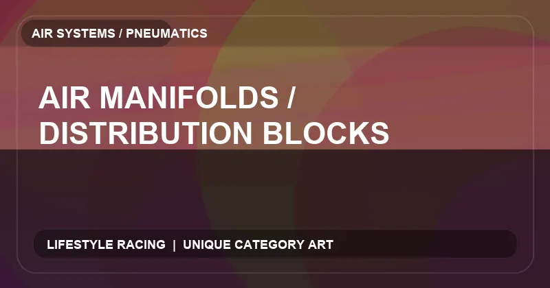 Air Manifolds / Distribution Blocks